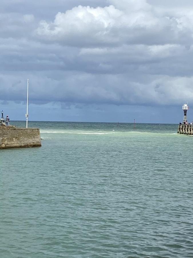 Super Appartement Cosy, Parking Prive Courseulles-sur-Mer Exterior foto